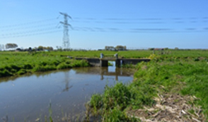 Weirs and locks are essential water management structures in the Netherlands, used for centuries to regulate water levels. A new approach was introduced by tendering the replacement of multiple weirs and renovation of locks under innovative E&C and D&C contracts.</p><p>Hans Grabandt played a pioneering role in introducing these contract forms at Waterschap Hollandse Delta for this type of project. With his expertise in contract and technical management, he helped shape a more efficient and scalable method for maintaining critical water infrastructure.